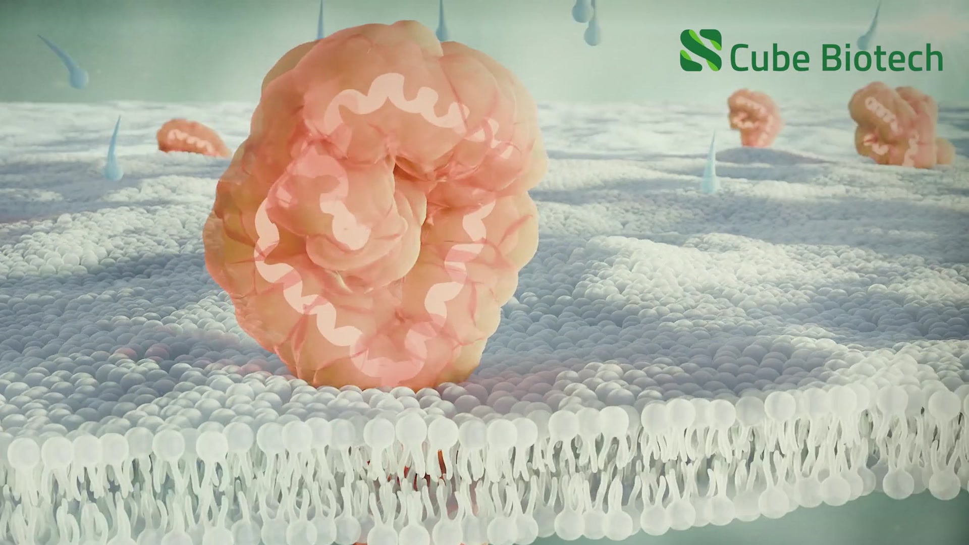 Making an Invisible Process Visible for an Automated Protein Purification Product