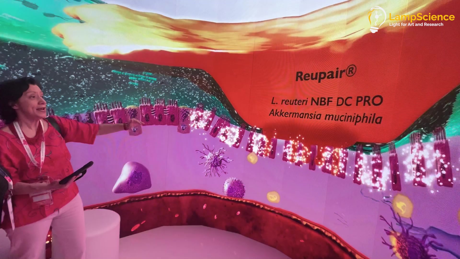 An Immersive Congress Booth That Put Vets Inside the Intestinal Barrier