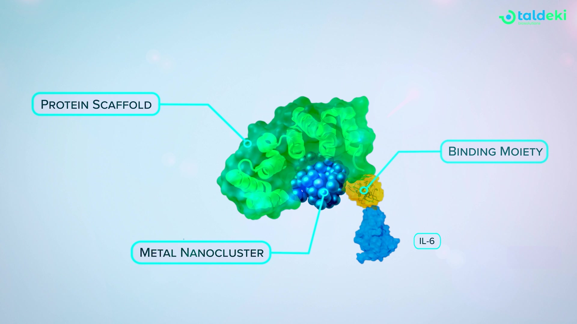 Molecular LEGO: Making a Programmable Biosensing Platform Clear to Investors